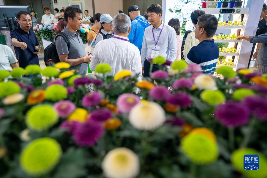 注册送58金提现